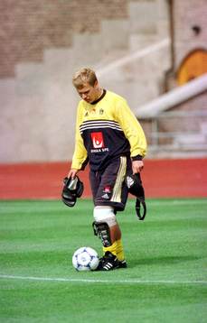 Pär Zetterberg, Sverige