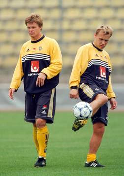 Stefan Schwarz och Pär Zetterberg, Sverige