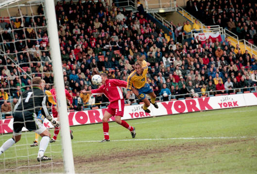 Henrik Larsson, Sverige