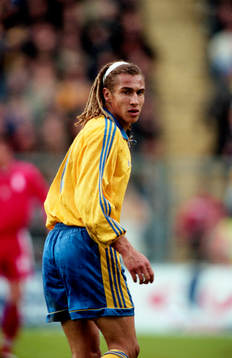 Henrik Larsson, Sverige