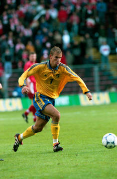 Niclas Alexandersson, Sverige