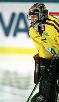 Vesa Toskala, Färjestad