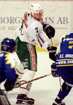 Anders Strandberg, Rögle