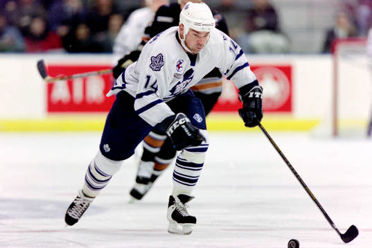 Jonas Höglund, Toronto Maple Leafs