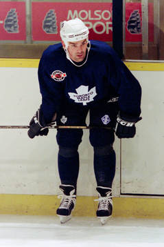 Jonas Höglund, Toronto Maple Leafs