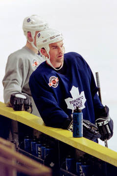 Jonas Höglund, Toronto Maple Leafs