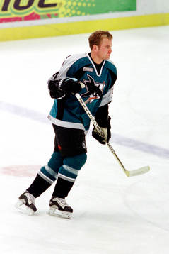 Niklas Sundström, San Jose Sharks