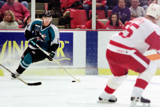 Niklas Sundström, San Jose Sharks